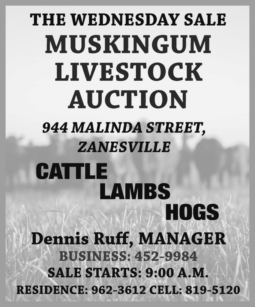 Cattle Lambs Hogs, Muskingum Livestock Auction